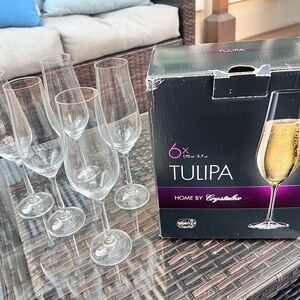 Tulipa Champagne Flutes Set of 5 Classes stemware in fair condition